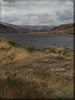 Snake River